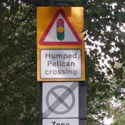 This means it is an intersection with a pedestrian light system sitting on a speed bump